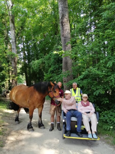 Un passager du cyclopousse dit bonjour au cheval
